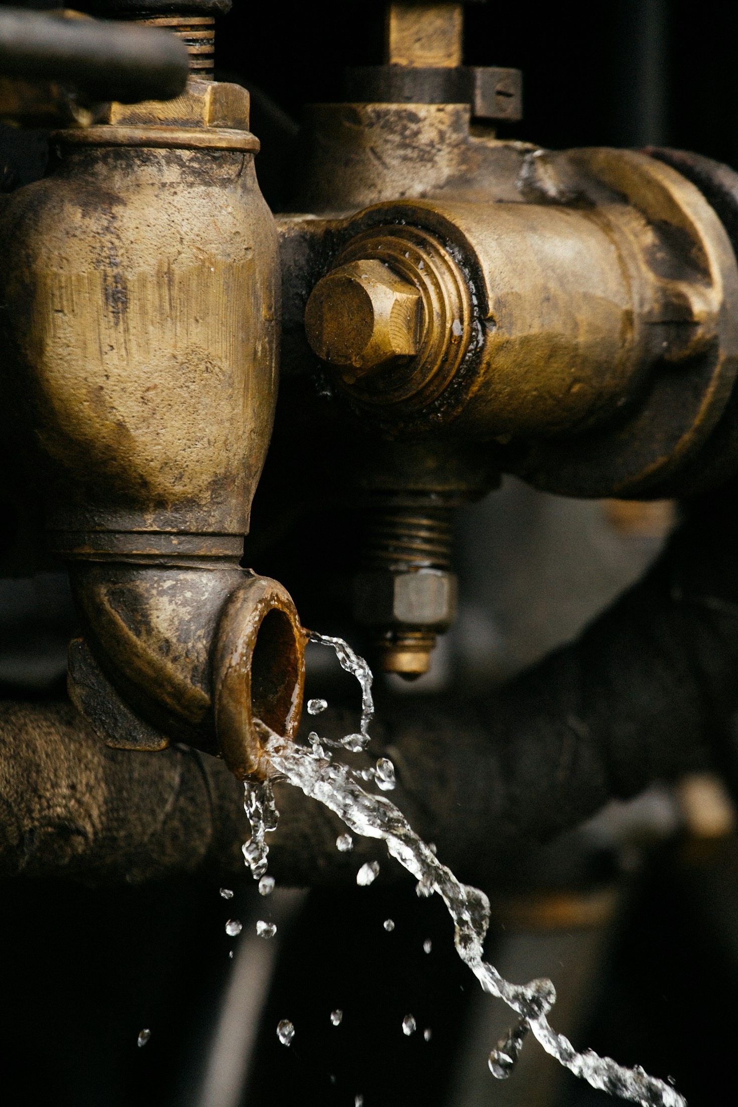 Understanding the Cost of Professional Plumbing